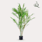 Kunstplant Chamaedorea elegans, bergpalm, 120 cm, kenmerkend blad