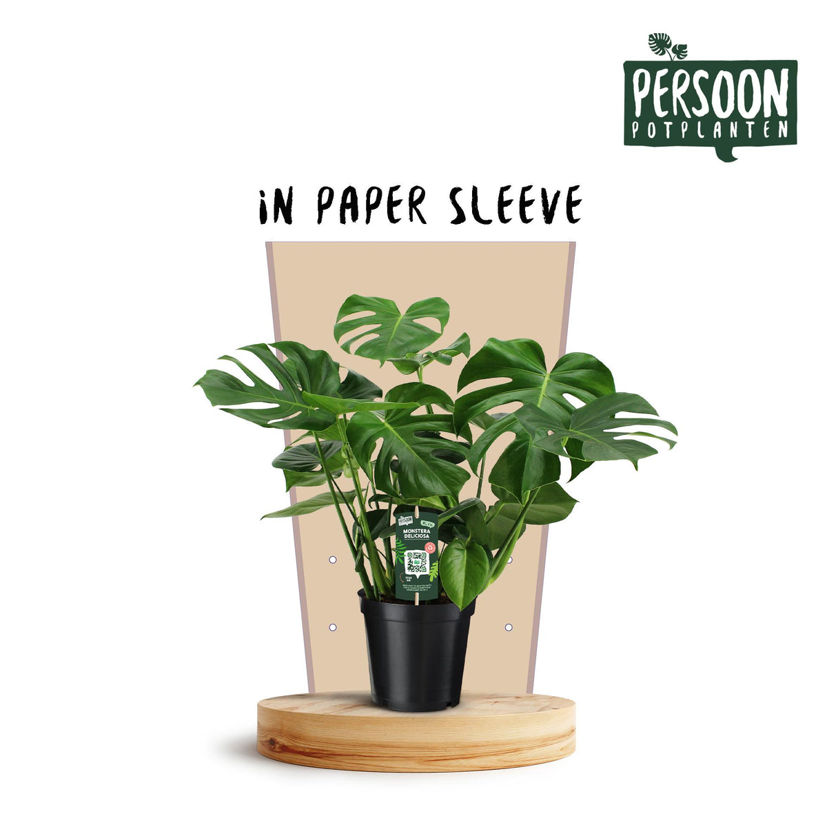 Productfoto van Monstera Deliciosa