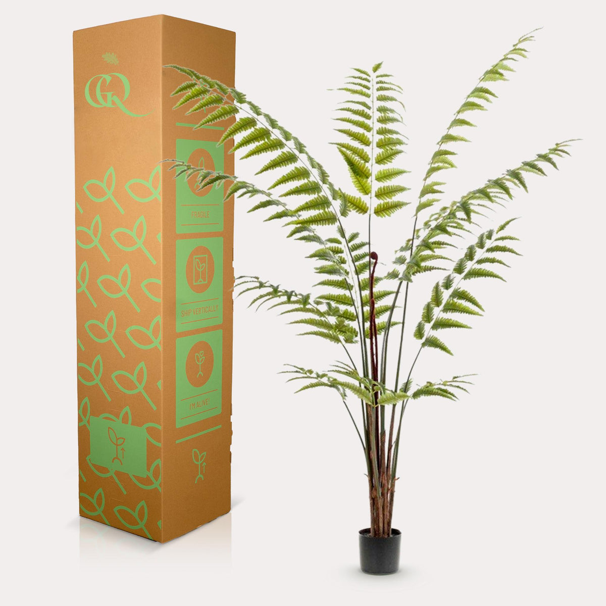 Productafbeelding van Pureplant
