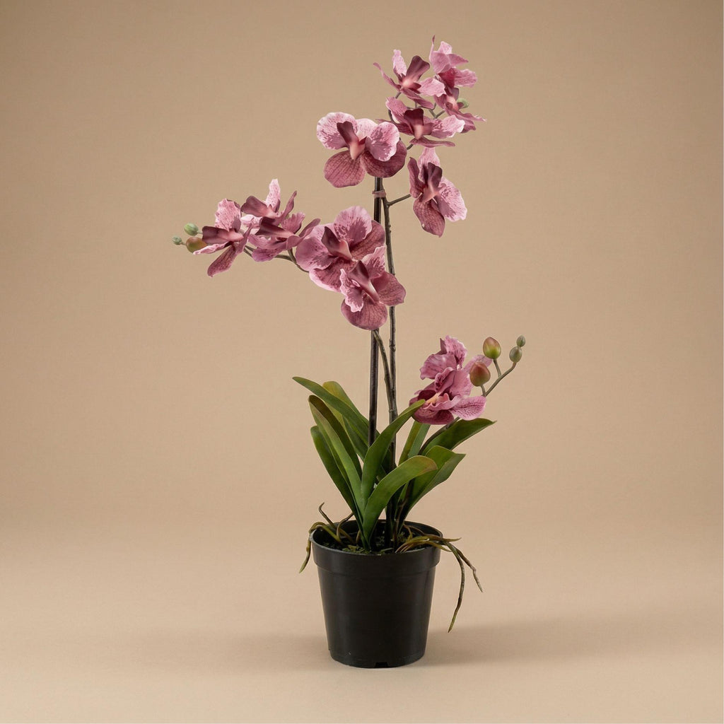 Orchidee Vanda kunstplant, groeiwijze van de plant