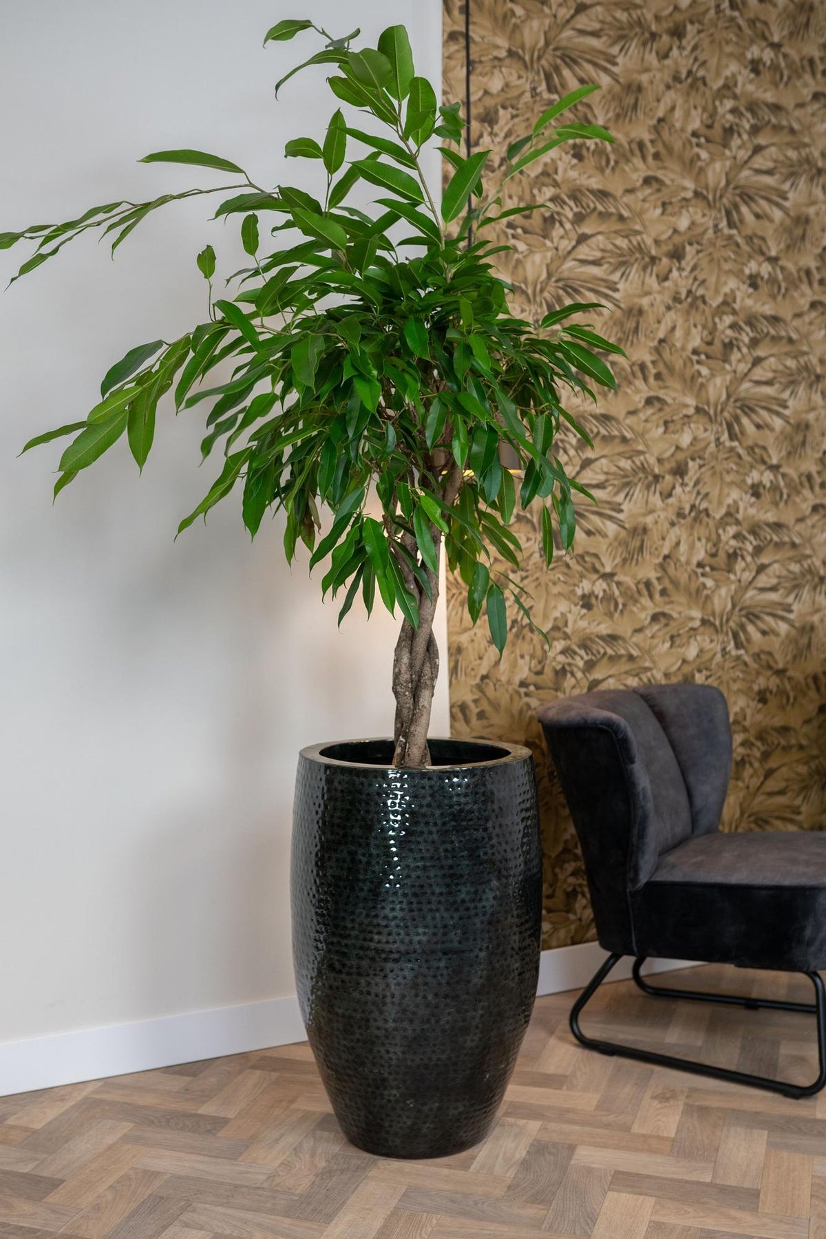 Set van 3 potten - Thom Zwart metaal - Hoog, plant in pot
