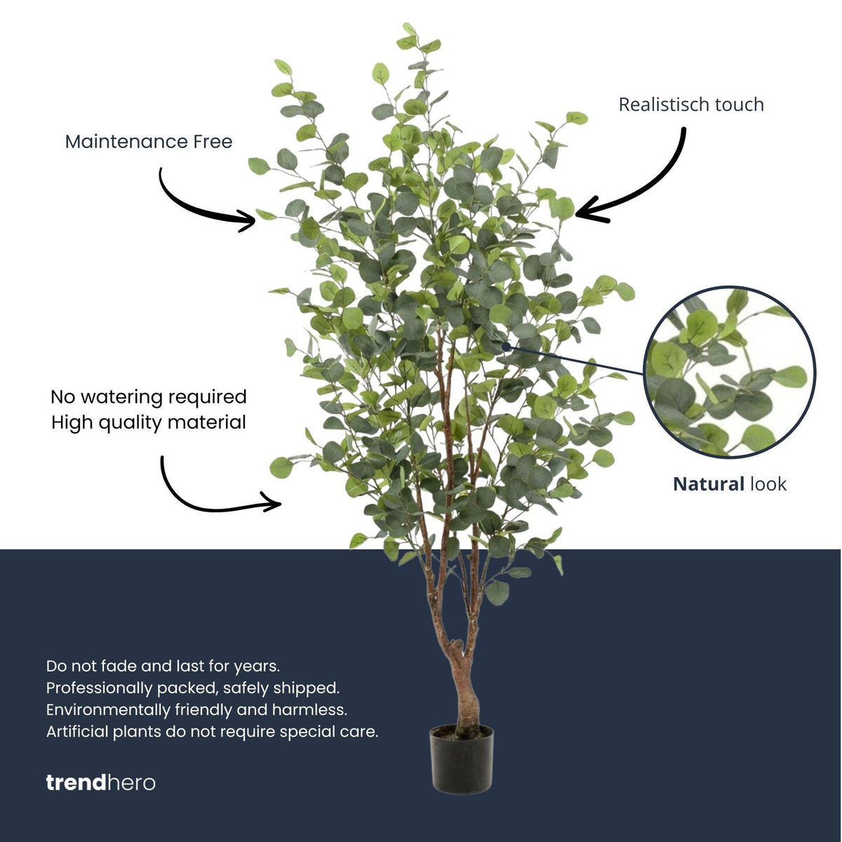 Eucalyptus boom, kenmerkend blad