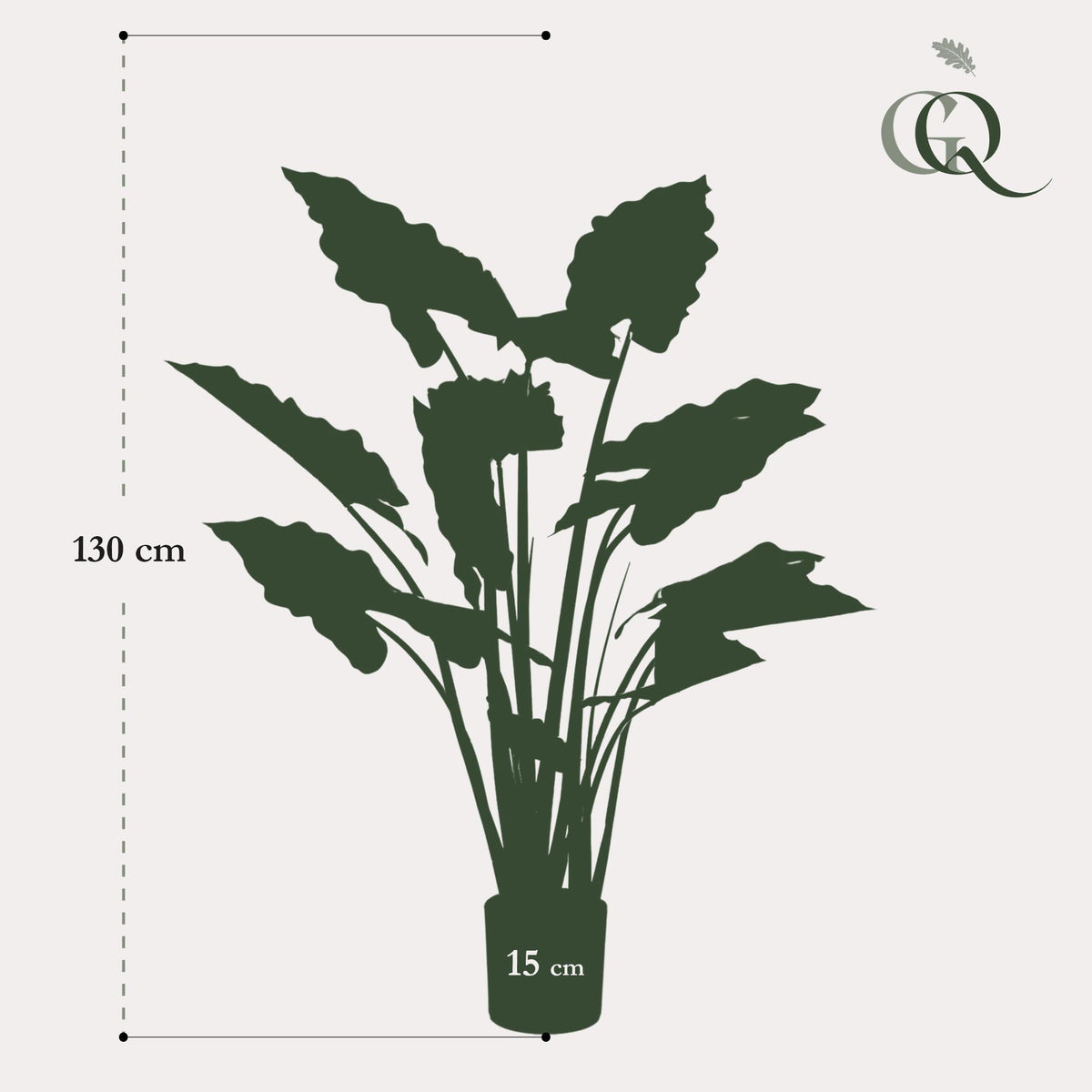 Productafbeelding van Pureplant