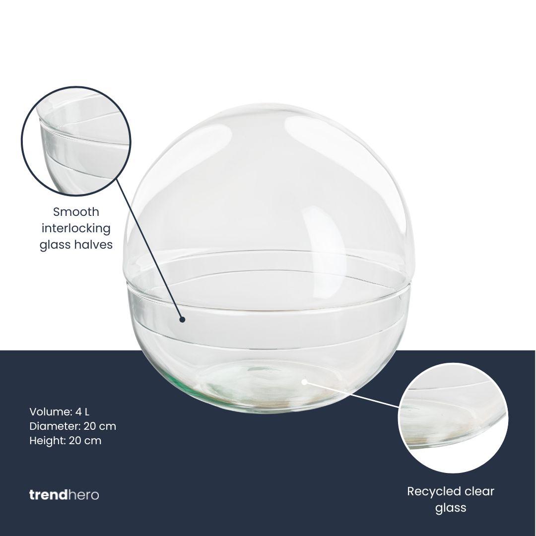 Terrarium bolglas tweedelig - Dome, kenmerkend blad