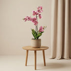 Orchidee Vanda kunstplant, detail van het blad