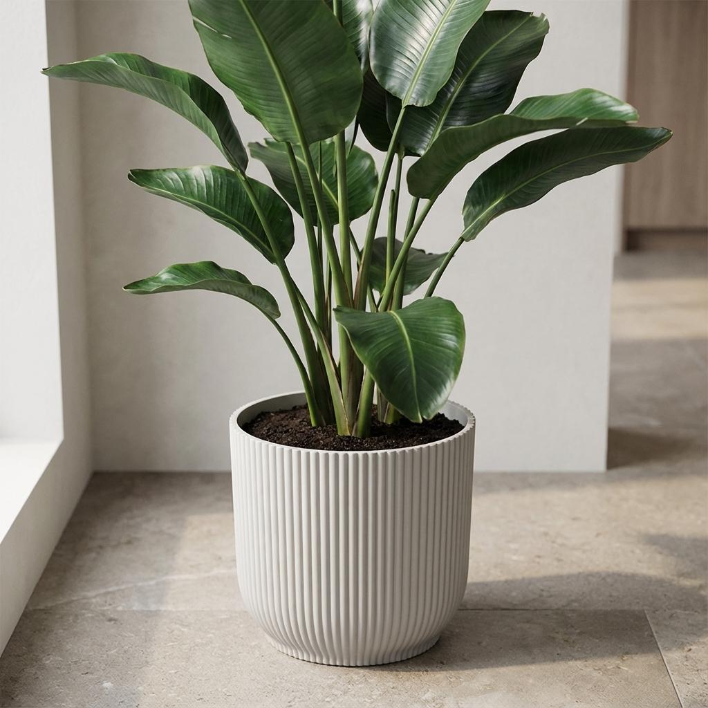 Productafbeelding van Pureplant