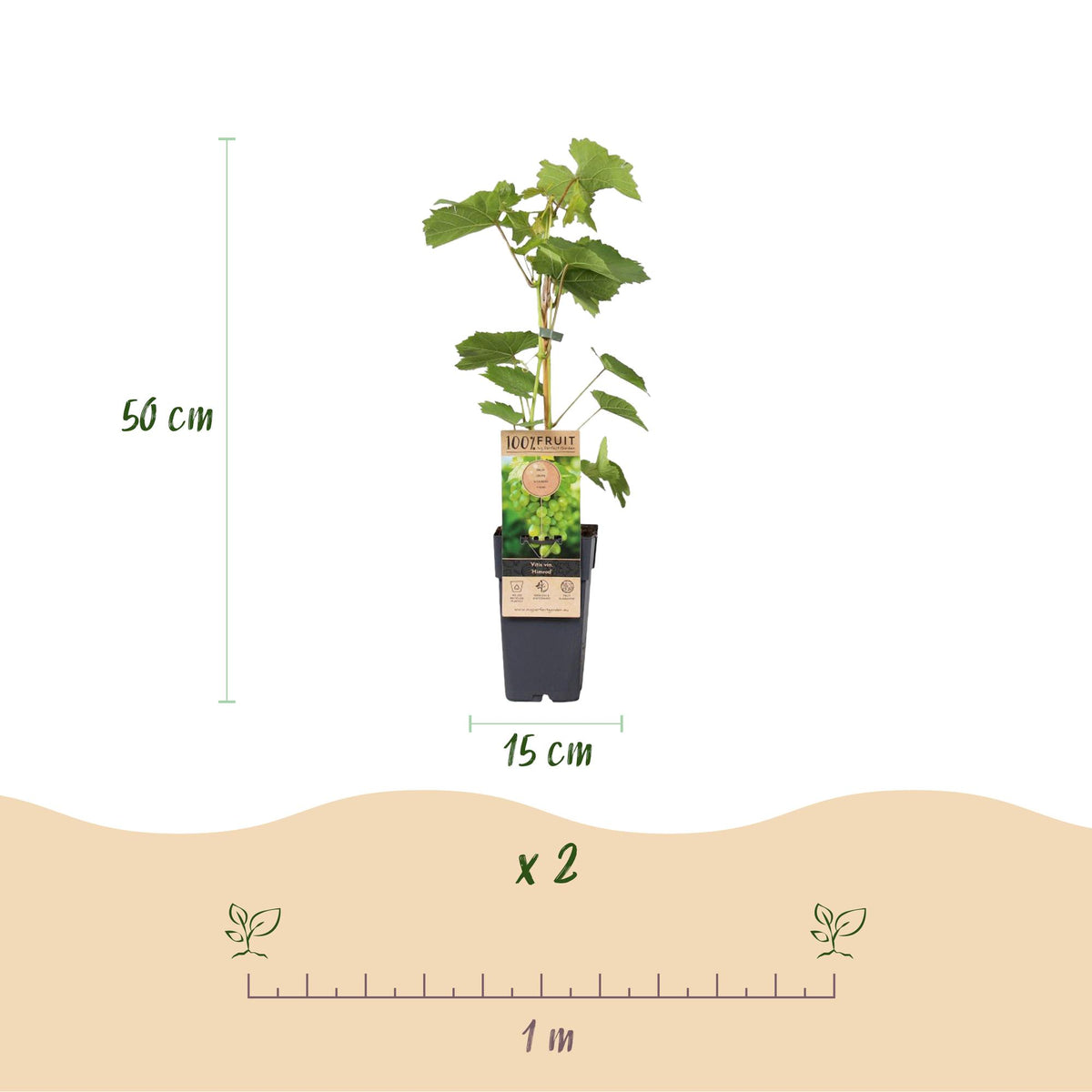 Productafbeelding van Pureplant