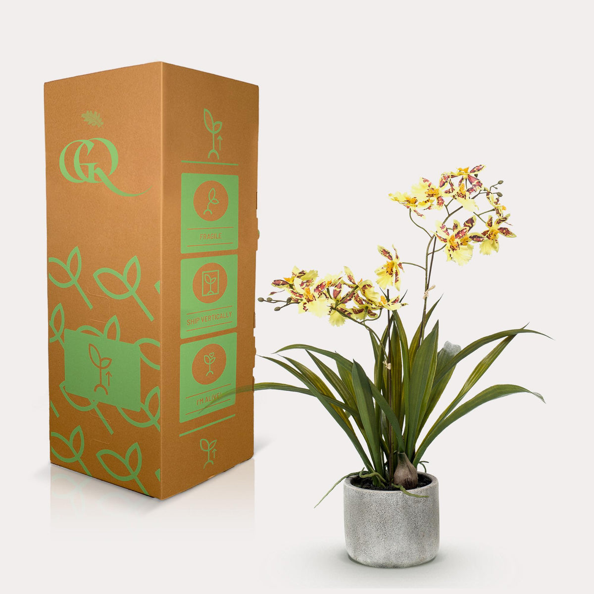 Kunstplant - Orchidee - Geel, kenmerkend blad