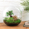 DIY Planten terrarium tweedelig bolglas - Dome XL Bonsai - Met hark en schep