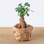 Productafbeelding van Pureplant