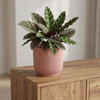 Elho Vibes Fold bloempot met ribbels, roze, Ø14 cm, groene bladeren
