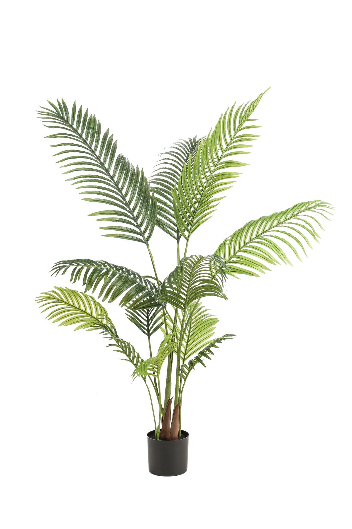 Productafbeelding van Pureplant
