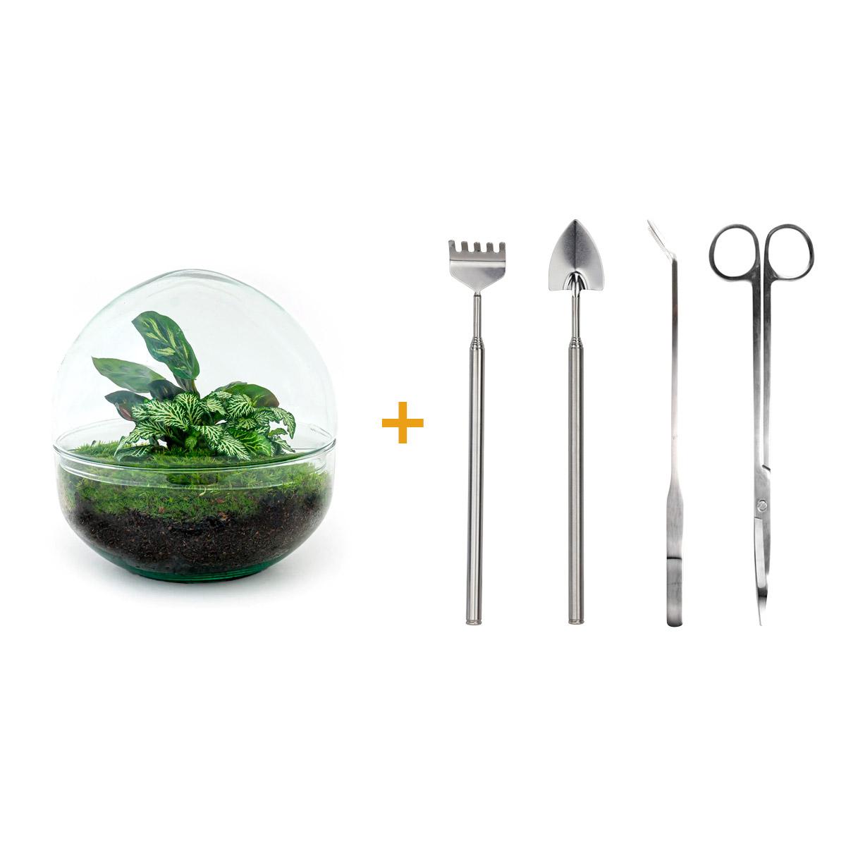 Detailfoto van DIY terrarium bolglas Dome, compleet gereedschap