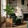 Spathiphyllum met grijze pot