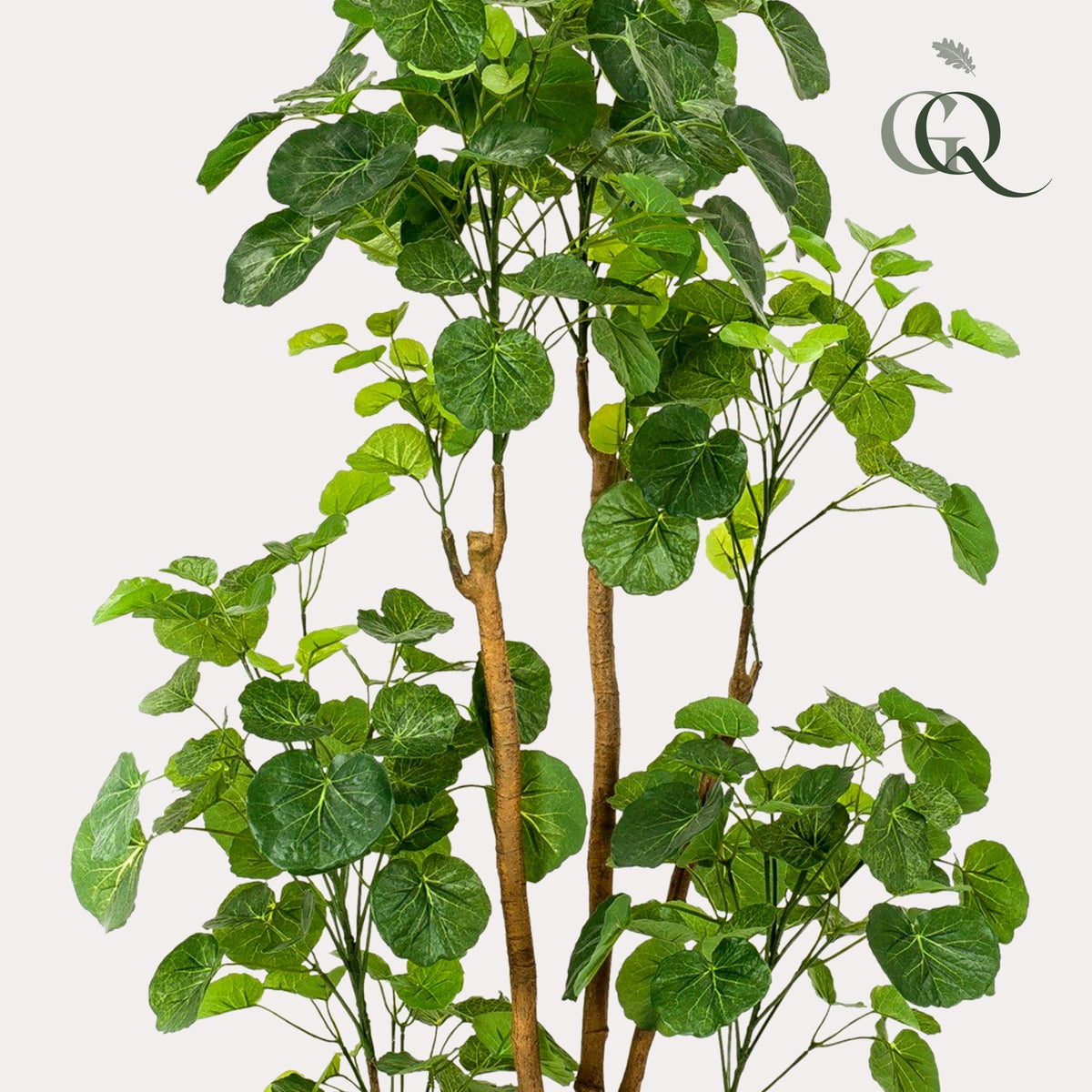 Productafbeelding van Pureplant
