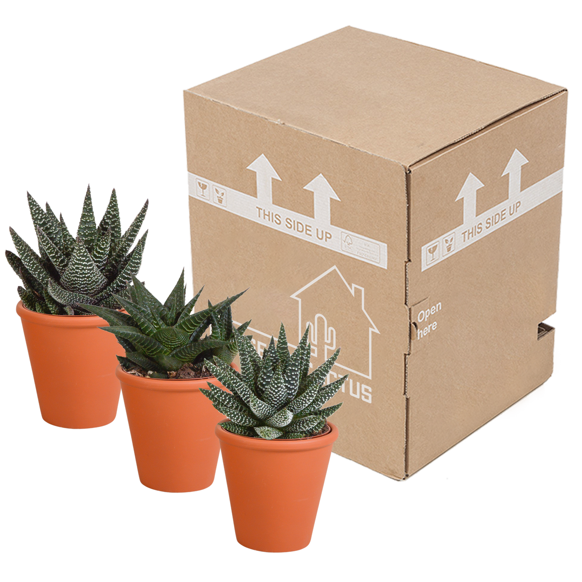 Productafbeelding van Pureplant