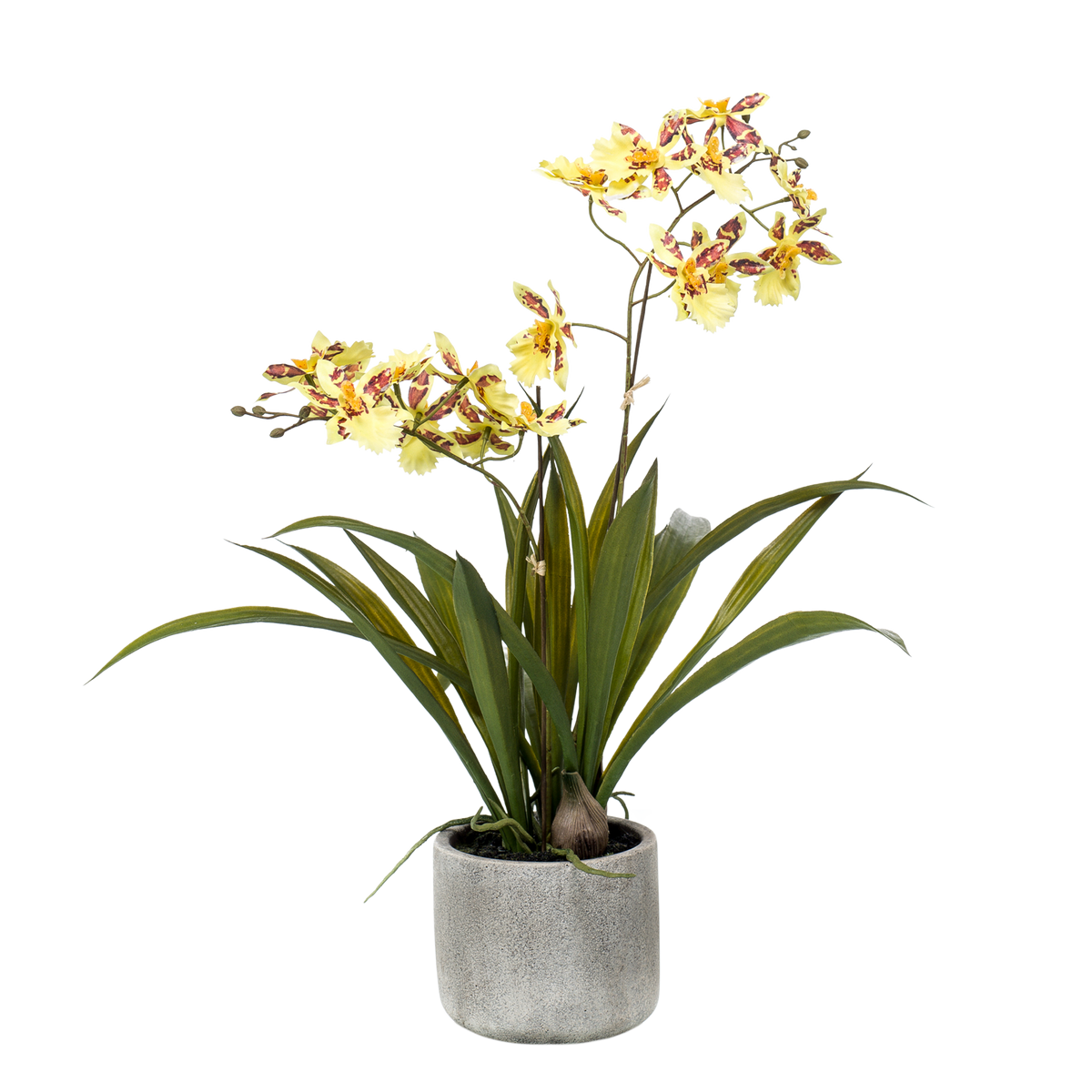 Kunstplant - Orchidee - Geel, groeiwijze van de plant