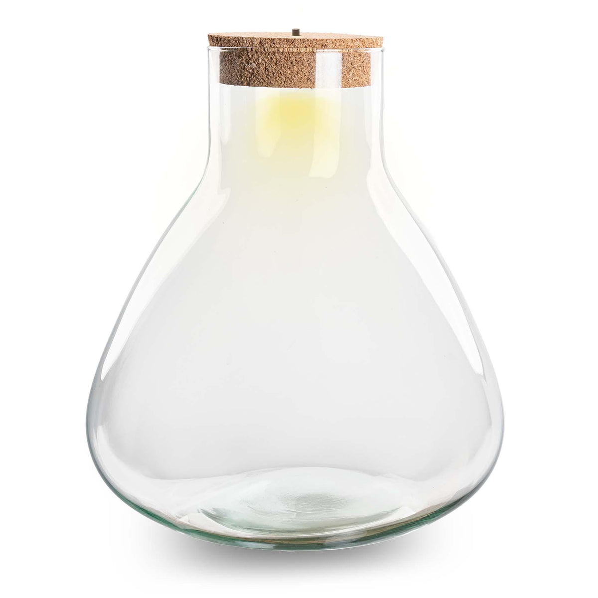 Terrarium fles met verlichting - Sam XL, kenmerkend blad