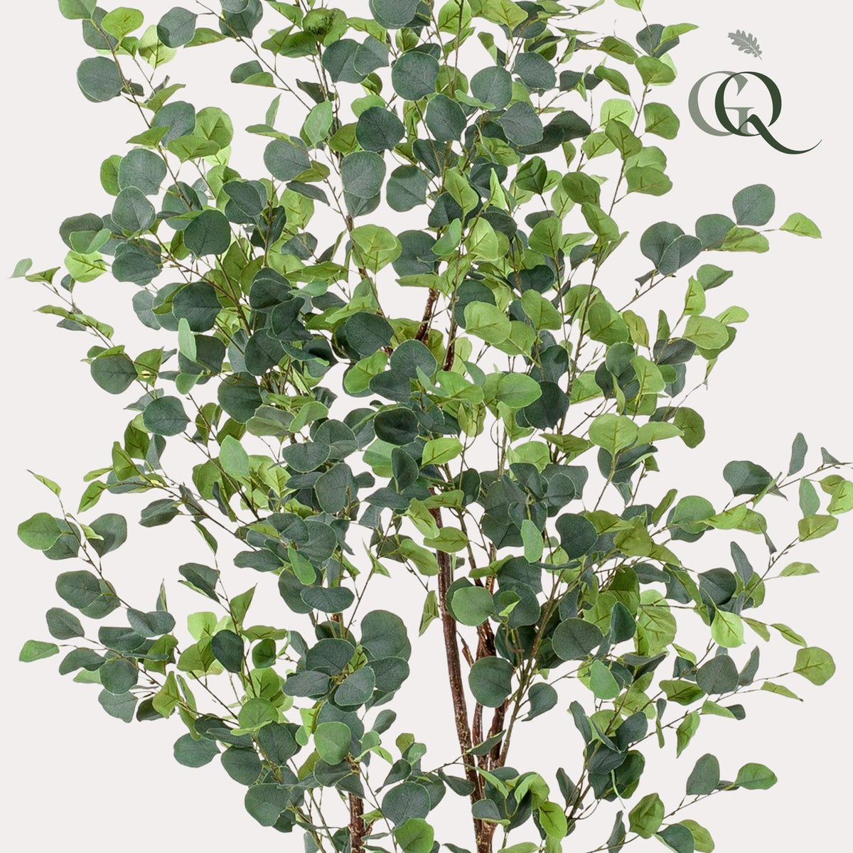 Productafbeelding van Pureplant