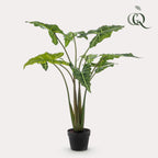 Kunstplant Alocasia 'Frydek', fluweelachtig blad, 120 cm, kenmerkend blad