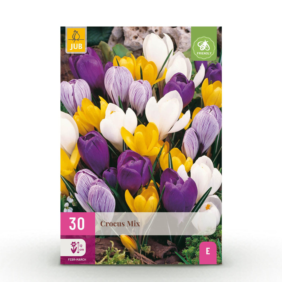 Crocus Large Flowering mix, detail van het blad