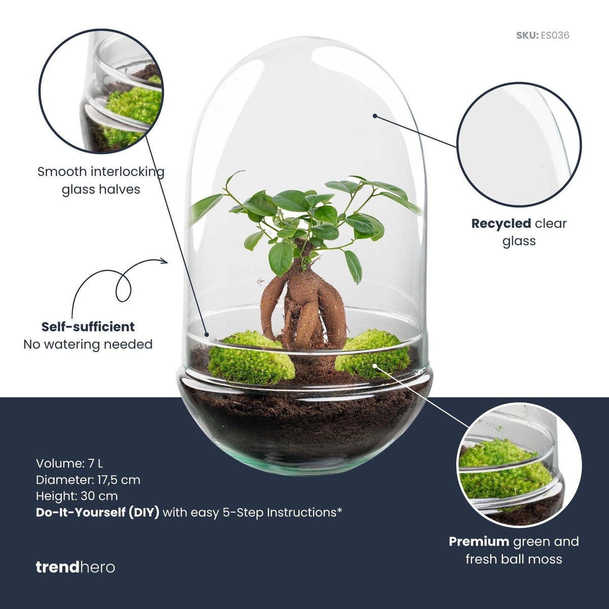 Detailfoto van DIY Planten terrarium tweedelig bolglas - Egg XL Bonsai