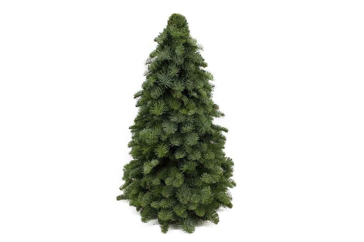 Productfoto van Nobilis kerstboom met geurige naalden, 60 cm hoog