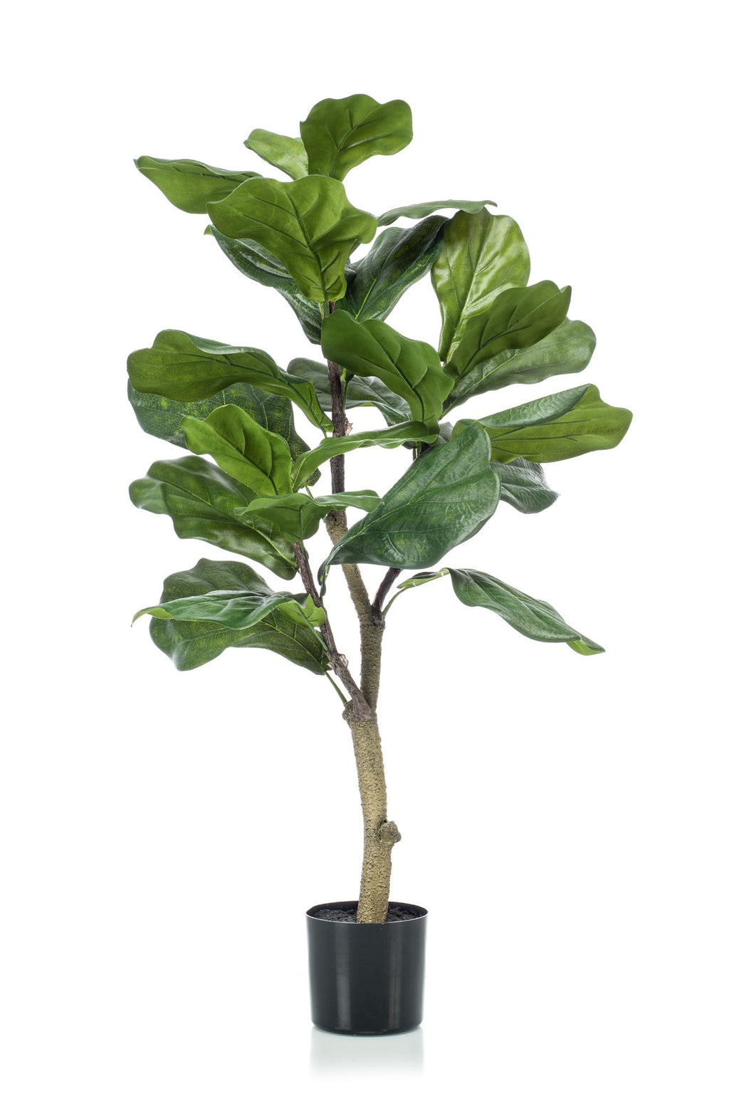 Productafbeelding van Pureplant