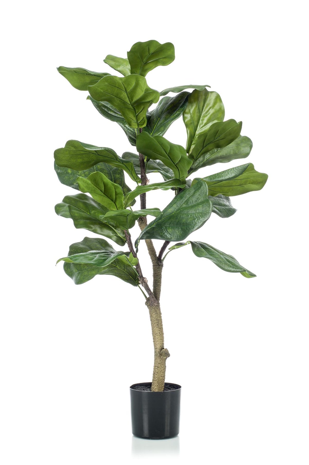 Productafbeelding van Pureplant