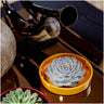 ROOTLESS Succulent Echeveria Lilacina in schaal 'geel'
