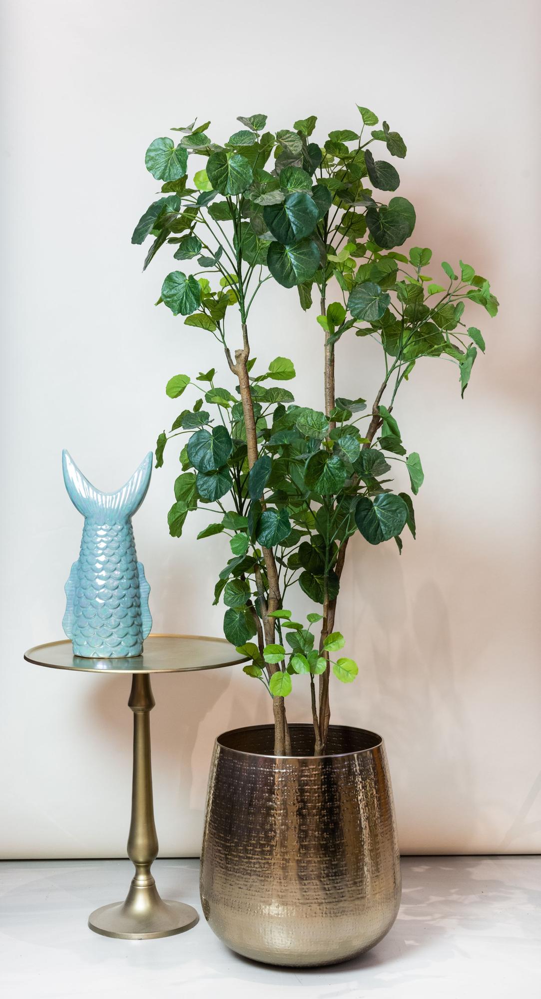 Productafbeelding van Pureplant
