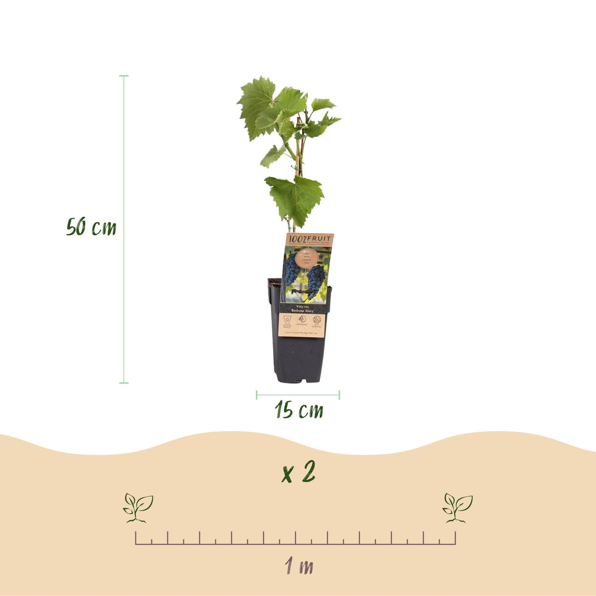 Productafbeelding van Pureplant