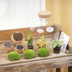 Productafbeelding van Pureplant