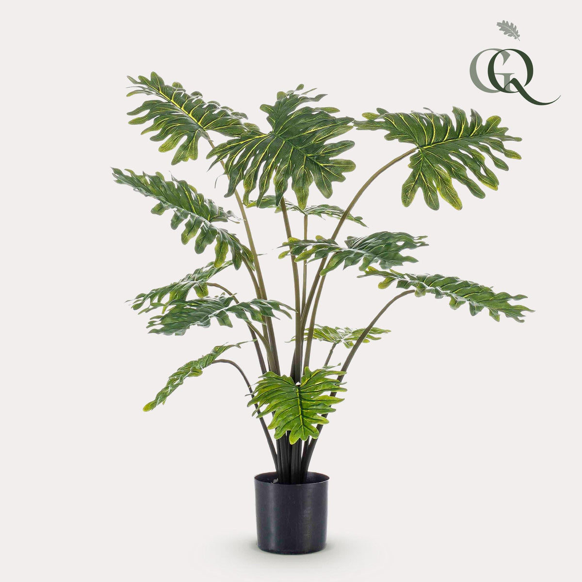 Productafbeelding van Pureplant