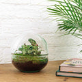 Productfoto van DIY terrarium bolglas Dome, hark, schep, pincet