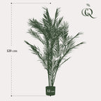 Kunstplant Chamaedorea elegans, bergpalm, 120 cm, gezonde plant
