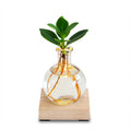 Glowplant, Clusia in vaasje met lampje en houten plankje, detail van het blad