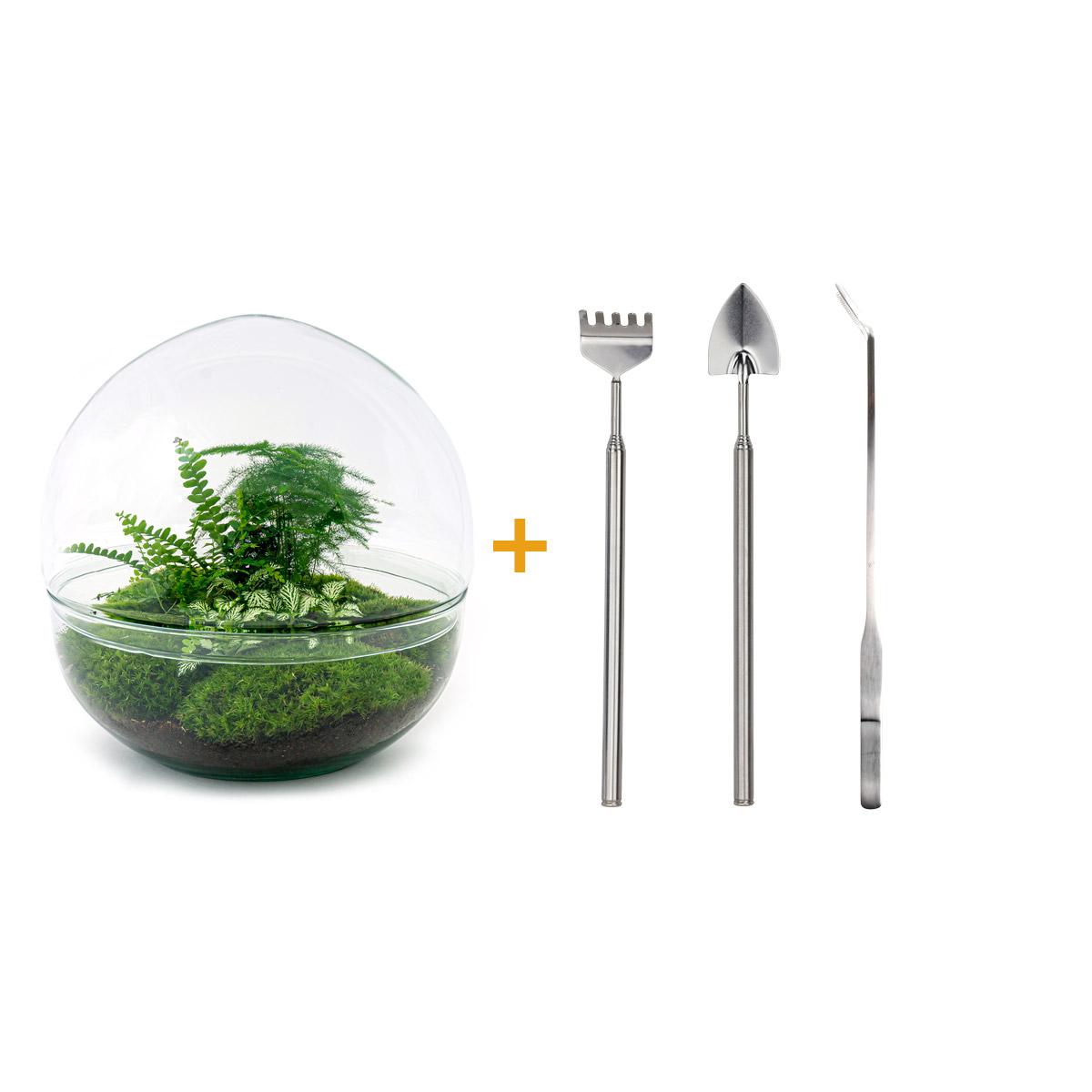 Detailfoto van DIY terrarium bolglas Dome XL, hark, schep, pincet