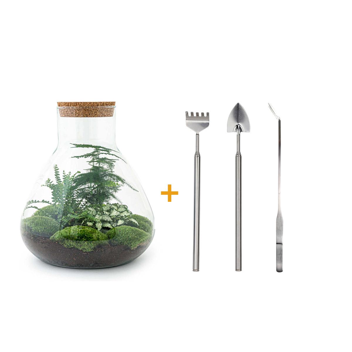 Detailfoto van DIY terrarium Sam XL Green met licht, hark, schep, pincet