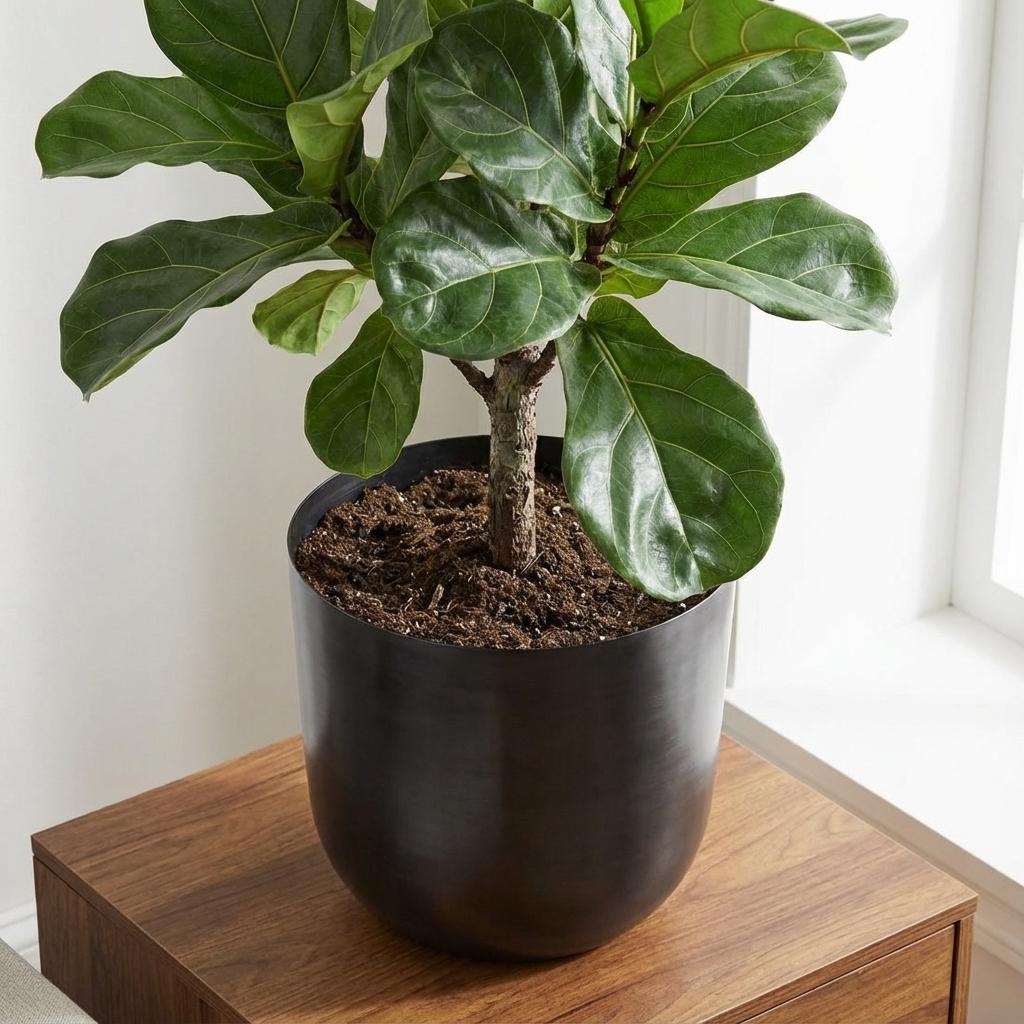 Productfoto van Pot Mayk Lead 20 cm