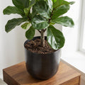 Productfoto van Pot Mayk Lead 20 cm