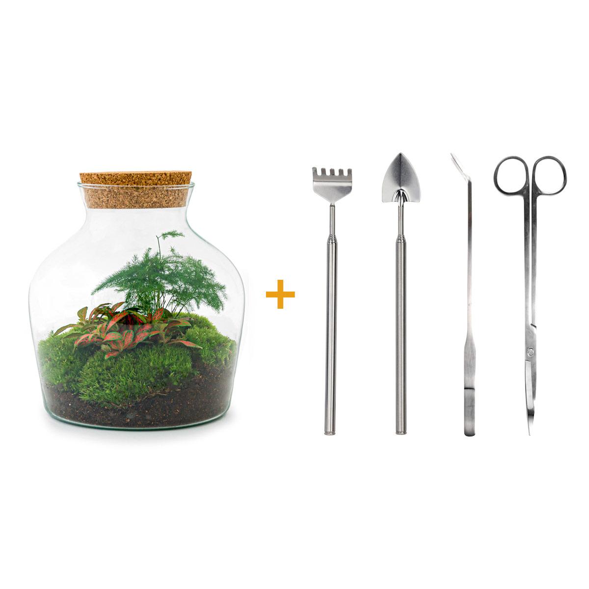 Detailfoto van DIY terrarium - Little Joe - Met complete gereedschapsset