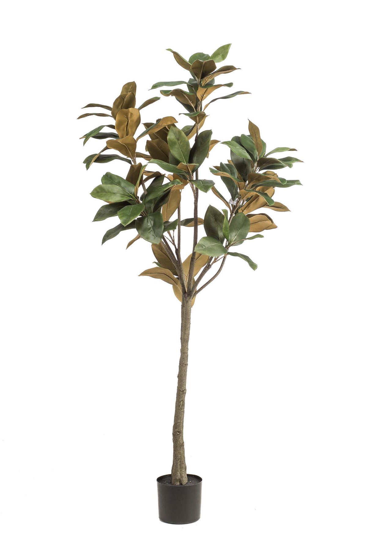 Kunstplant - Magnolia Grandiflora, plant in pot