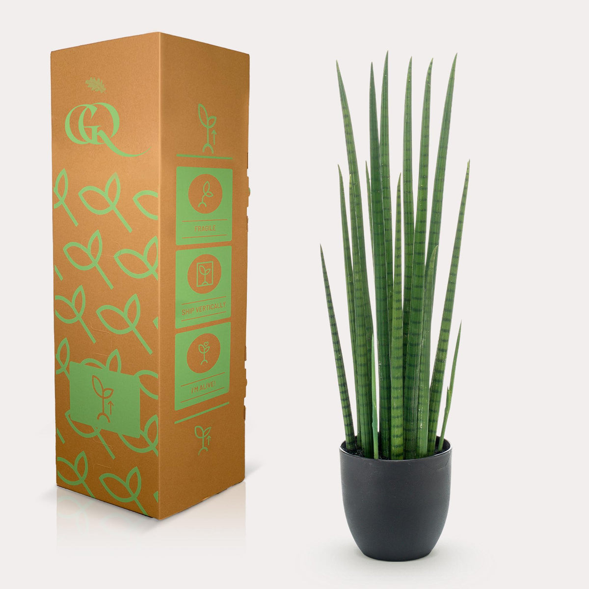 Productafbeelding van Pureplant