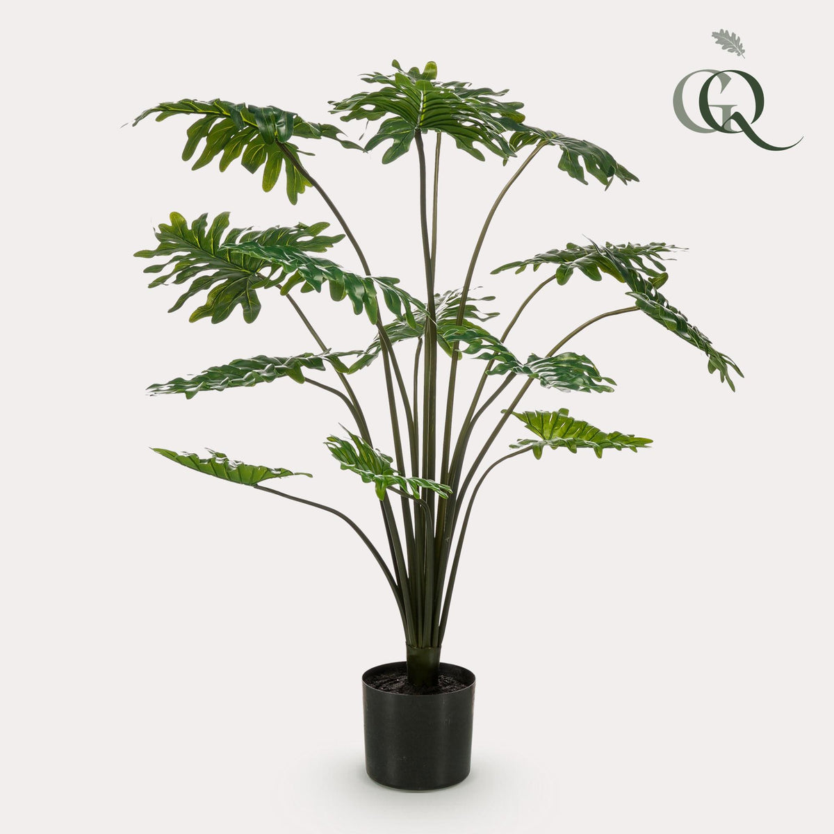 Productafbeelding van Pureplant