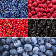 Fruitplanten mix &