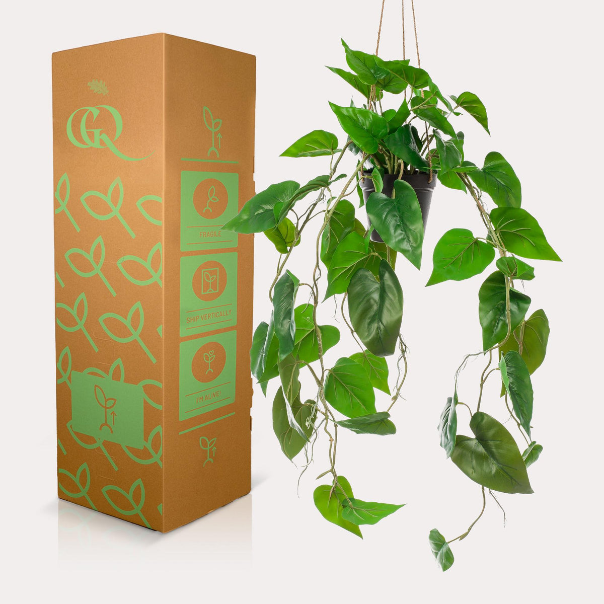 Productafbeelding van Pureplant