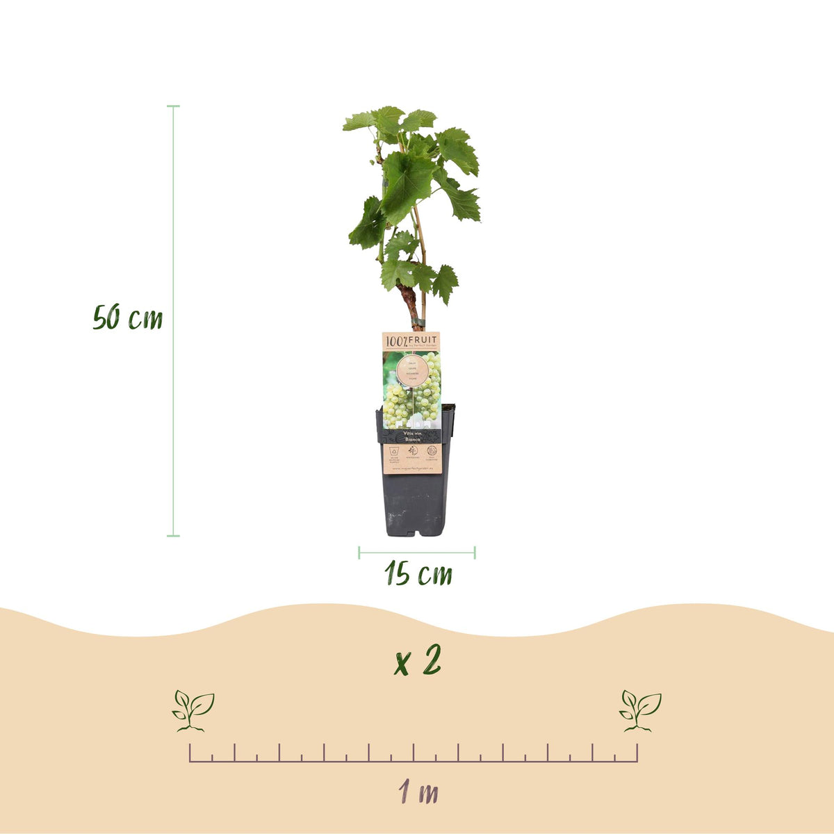 Productafbeelding van Pureplant