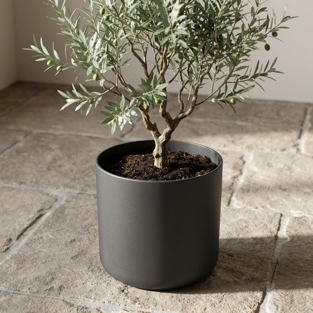 Elho b.for soft bloempot, antraciet, mat fluweelzacht, 25 cm, plant in pot