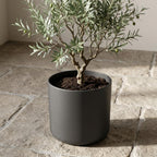 Elho b.for soft bloempot, antraciet, mat fluweelzacht, 25 cm, plant in pot